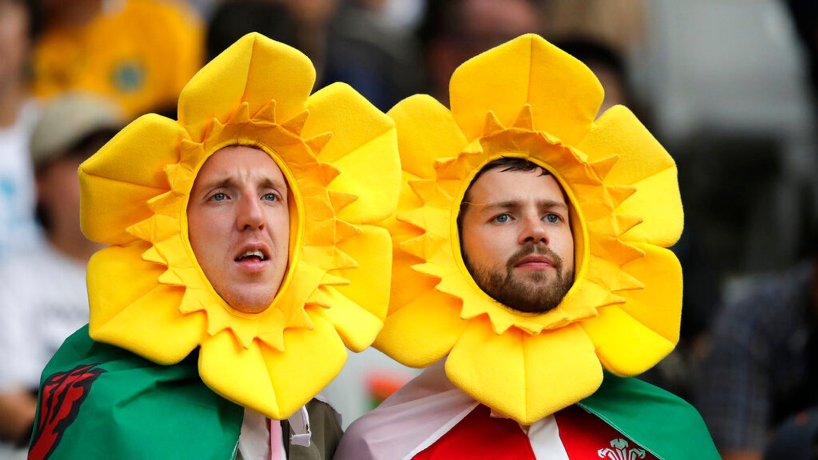 1st March 2024 St.Davids Day HD Photos